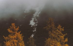 Preview wallpaper fog, trees, autumn, slope
