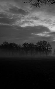 Preview wallpaper fog, trees, bw, landscape, dark