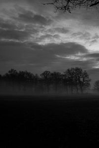 Preview wallpaper fog, trees, bw, landscape, dark