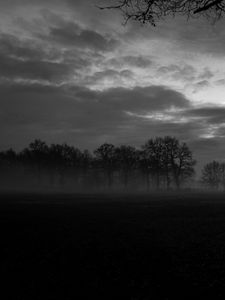 Preview wallpaper fog, trees, bw, landscape, dark