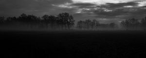 Preview wallpaper fog, trees, bw, landscape, dark