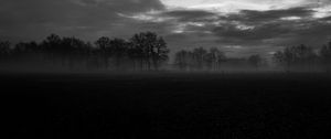 Preview wallpaper fog, trees, bw, landscape, dark