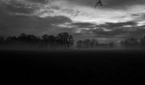 Preview wallpaper fog, trees, bw, landscape, dark