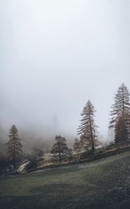 Preview wallpaper fog, trees, fence, hill, nature