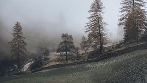 Preview wallpaper fog, trees, fence, hill, nature