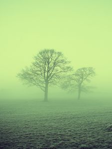 Preview wallpaper fog, trees, field, nature