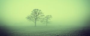 Preview wallpaper fog, trees, field, nature