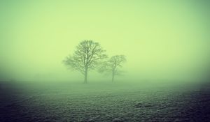 Preview wallpaper fog, trees, field, nature