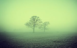 Preview wallpaper fog, trees, field, nature