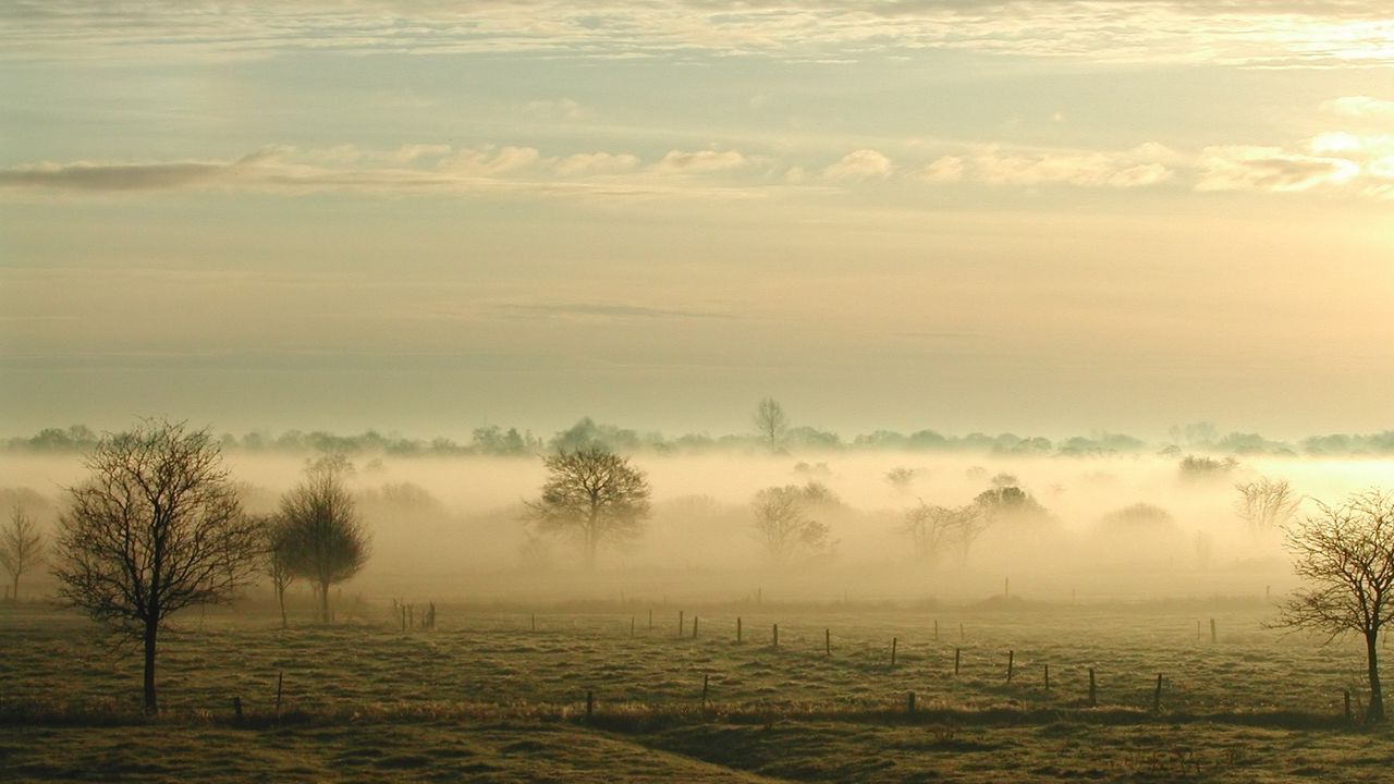 Wallpaper fog, trees, field, haze, sky, clouds, ease