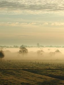 Preview wallpaper fog, trees, field, haze, sky, clouds, ease