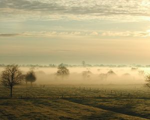 Preview wallpaper fog, trees, field, haze, sky, clouds, ease