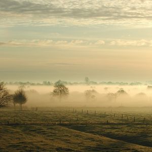 Preview wallpaper fog, trees, field, haze, sky, clouds, ease