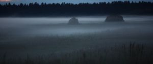 Preview wallpaper fog, trees, field, outlines