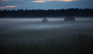 Preview wallpaper fog, trees, field, outlines