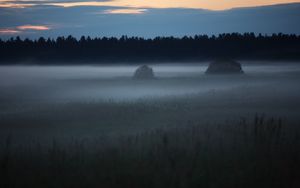 Preview wallpaper fog, trees, field, outlines