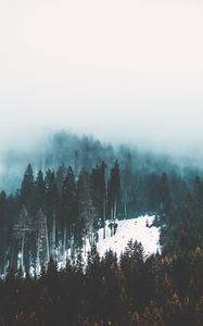 Preview wallpaper fog, trees, forest, snow