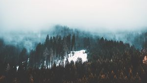 Preview wallpaper fog, trees, forest, snow