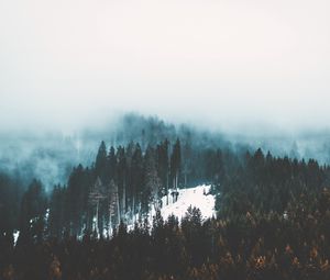 Preview wallpaper fog, trees, forest, snow