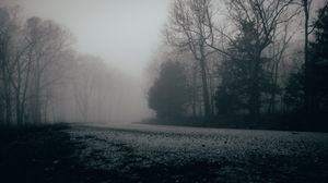 Preview wallpaper fog, trees, forest, gloomy