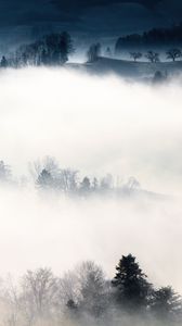 Preview wallpaper fog, trees, hills, mist, landscape