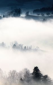 Preview wallpaper fog, trees, hills, mist, landscape