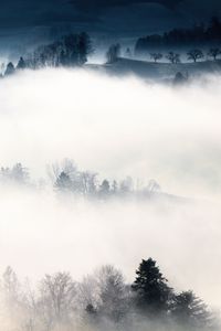 Preview wallpaper fog, trees, hills, mist, landscape