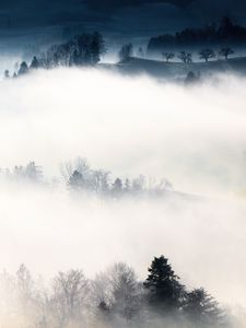 Preview wallpaper fog, trees, hills, mist, landscape