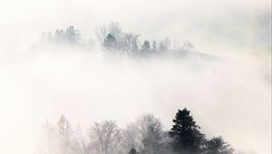 Preview wallpaper fog, trees, hills, mist, landscape