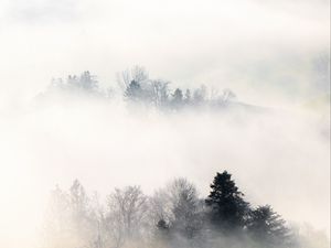 Preview wallpaper fog, trees, hills, mist, landscape