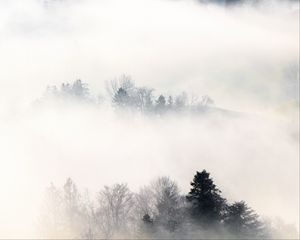 Preview wallpaper fog, trees, hills, mist, landscape