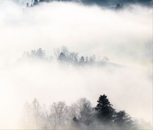 Preview wallpaper fog, trees, hills, mist, landscape