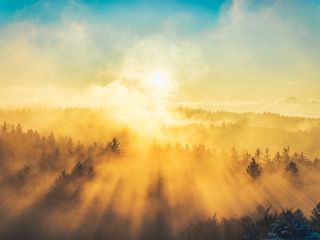 320x240 Wallpaper fog, trees, light, sun, nature