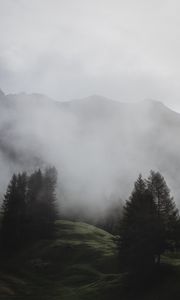 Preview wallpaper fog, trees, meadow, mountains, italy