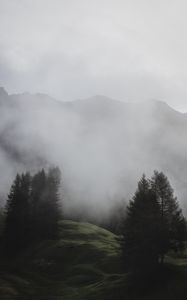 Preview wallpaper fog, trees, meadow, mountains, italy