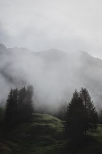 Preview wallpaper fog, trees, meadow, mountains, italy