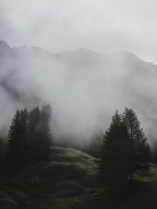 Preview wallpaper fog, trees, meadow, mountains, italy