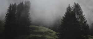 Preview wallpaper fog, trees, meadow, mountains, italy