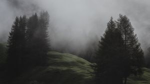Preview wallpaper fog, trees, meadow, mountains, italy