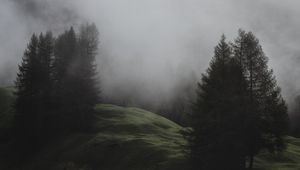 Preview wallpaper fog, trees, meadow, mountains, italy