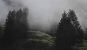 Preview wallpaper fog, trees, meadow, mountains, italy