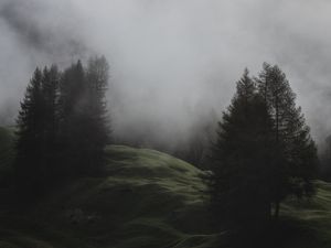 Preview wallpaper fog, trees, meadow, mountains, italy