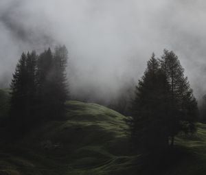 Preview wallpaper fog, trees, meadow, mountains, italy