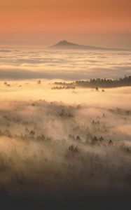 Preview wallpaper fog, trees, mountain, clouds, nature