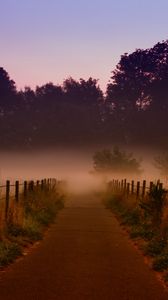 Preview wallpaper fog, trees, path, dawn