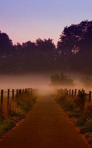 Preview wallpaper fog, trees, path, dawn