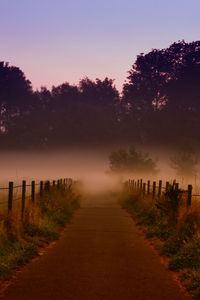 Preview wallpaper fog, trees, path, dawn