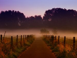 Preview wallpaper fog, trees, path, dawn