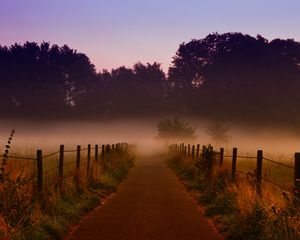 Preview wallpaper fog, trees, path, dawn