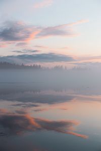 Preview wallpaper fog, trees, reflection, clouds